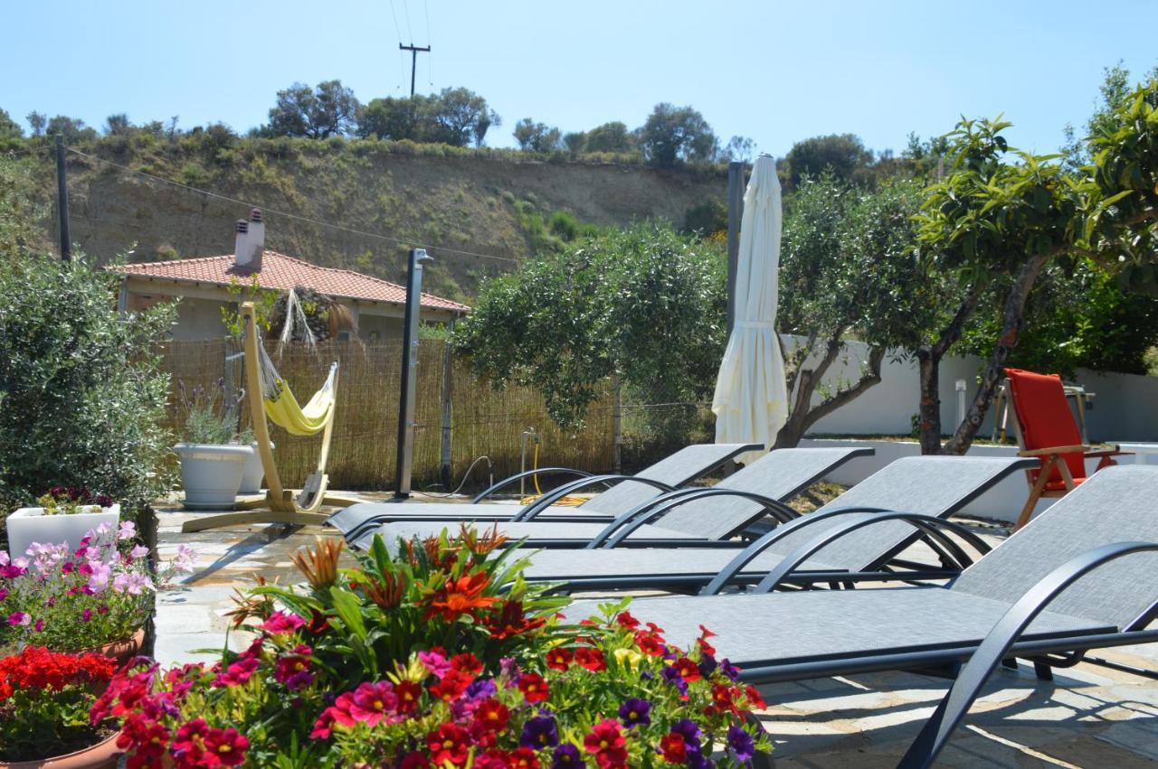 Villa Kristi Λουτρά Ελευθερών Εξωτερικό φωτογραφία